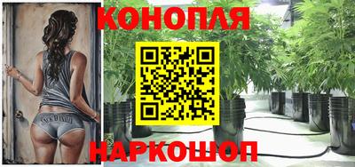 mdpv Камышлов