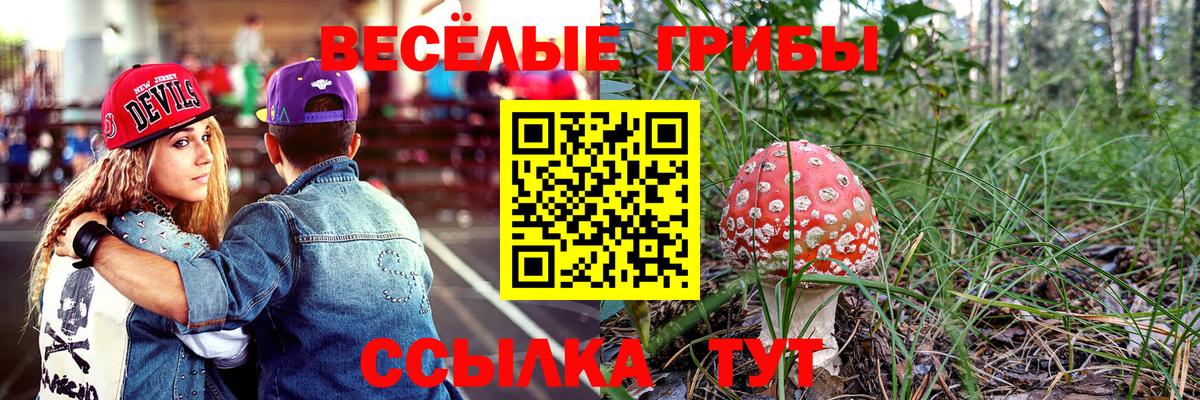 купить  цена  Галлюциногенные грибы Magic Shrooms  Вход с VPN  Псилоцибиновые грибы MAGIC MUSHROOMS  Лянтор 